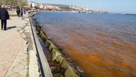 Tekirdağ'da Kıyı Kızıla Döndü