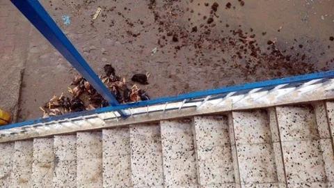 Bünyan'da Sel Olayı Yaşandı