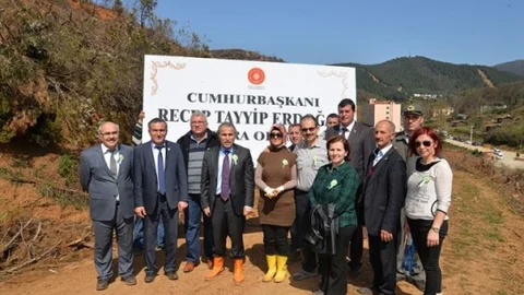 Yalova'da 18 Bin Fidan Dikildi