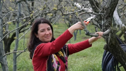 Bursa'da Çiftçilerle Tarla Çalışması