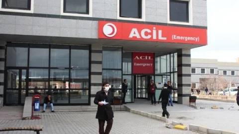 Van'da Domuz Gribi Şüphesi Var