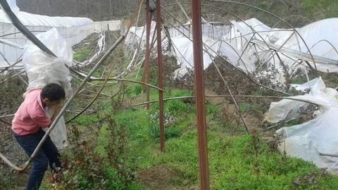 Fatsa'da Seraların Tamiri Başladı