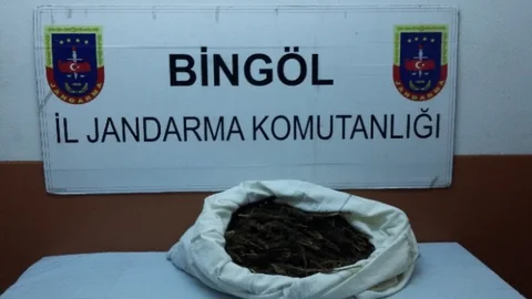 Bingöl'de Uyuşturucu Operasyonu