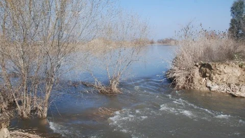 Aydın'da Sel Felaketi Üzüntü Yarattı