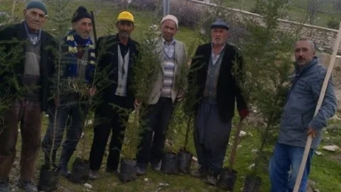 Gökbez'de Ağaç Dikme Etkinliği