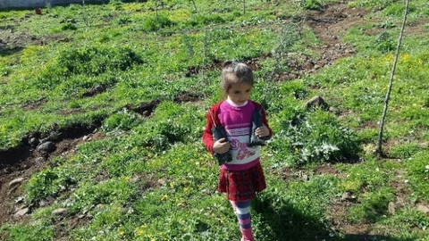 Kilis'te Fidan Dikimi Etkinliği