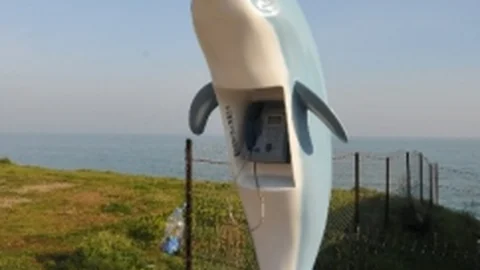 Yunus Balığı Telefon Ankesörü Projesi