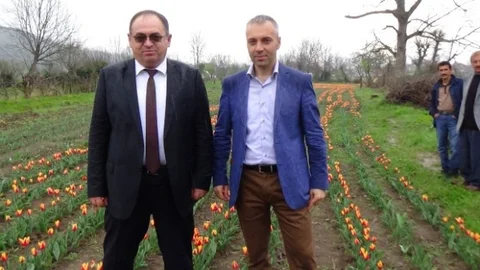 Zonguldak'ta İlk Lale Bahçeleri Kuruldu