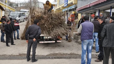 Bursa'dan Tunceli'ye Fidan Gönderimi