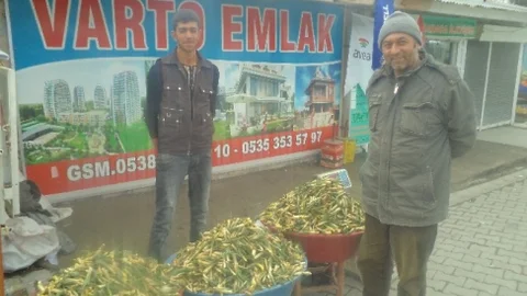 Gülbahar Bitkisi Tezgahlarda Yerini Aldı