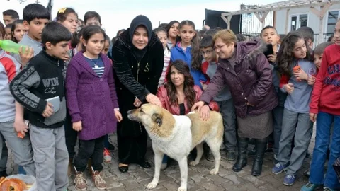 Aksaray'da Öğrenciler Hayvanları Ziyaret Etti