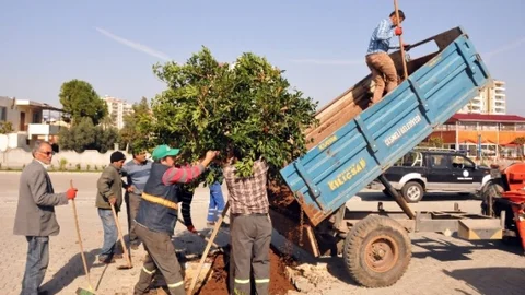 Erdemli'de Park Bakım Çalışmaları