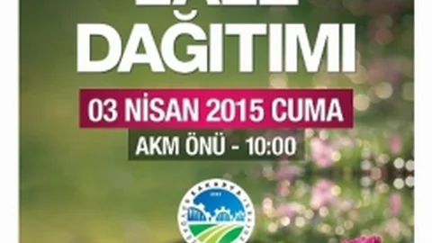 Sakarya'da Lale Dağıtımı Yapılacak