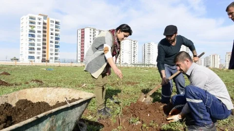 Diyarbakır'da Meyve Bahçesi Projesi