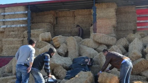 Manisa'da Kaçak Sigara Operasyonu