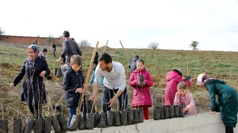 Kastamonu'da Öğrencilerden Fidan Projesi