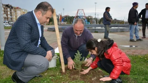 Görele'de Fidan Dikimi Yapıldı