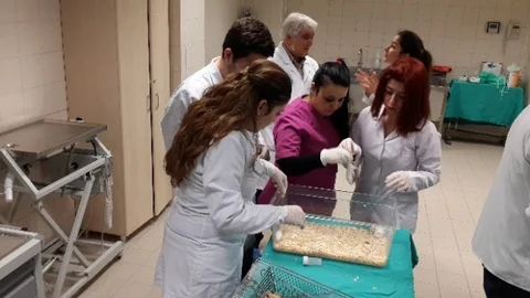 Eskişehir'de Deney Eğitimi Zorunlu