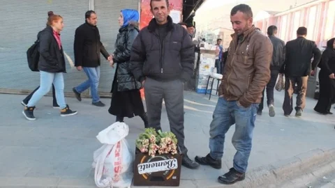 Hakkâri'de Uçkun Bitkisi İle Geçim Sağlanıyor