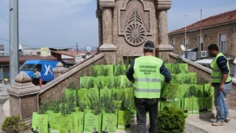 Reyhanlı'da Fidan Dağıtımı Yapıldı