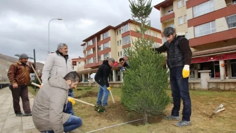 Bayburt'ta Ağaçlandırma Çalışmaları Devam Ediyor