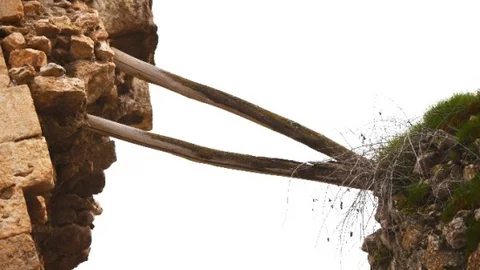 Silvan'da Tarihi Surların Bakımsızlığı Endişe Uyandırıyor