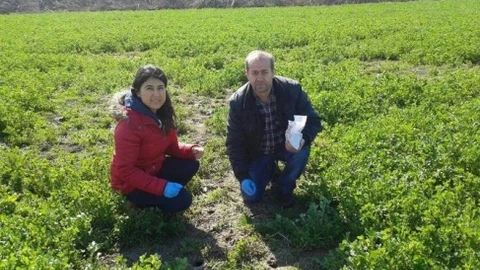 Manyas'ta Tarla Fareleri ile Mücadele Başlatıldı