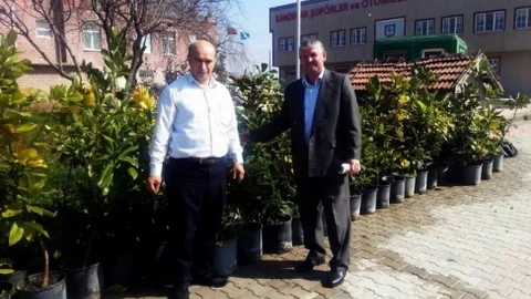 Bandırma'da Fidan Dikimi Etkinliği