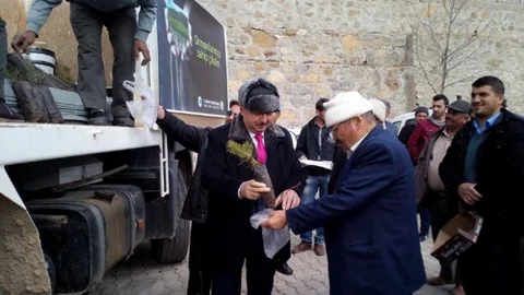 Sarıveliler'de 3 Bin Fidan Dağıtıldı