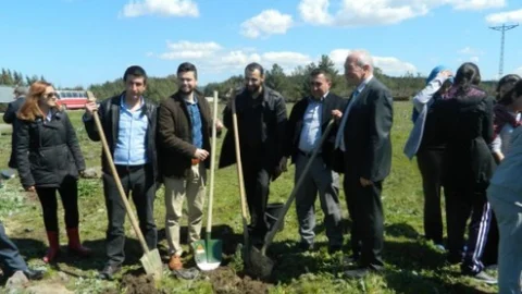 Lapseki'de 500 Fidan Dikimi Yapıldı