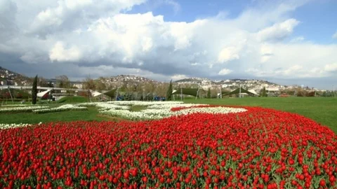 Kocaeli'nde Lale Festivali Başlıyor