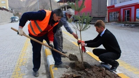 Hakkari'de Fidan Dikimi Çalışmaları Başladı
