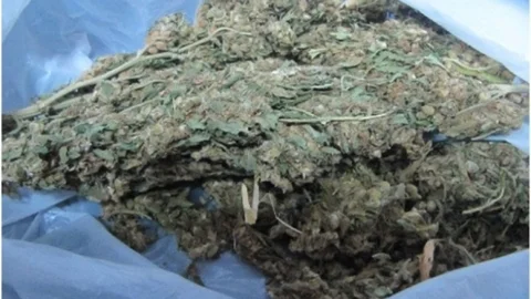 Düzce'de Uyuşturucu Operasyonu