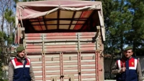 Edirne'de Küpesiz Koyun Yakalandı