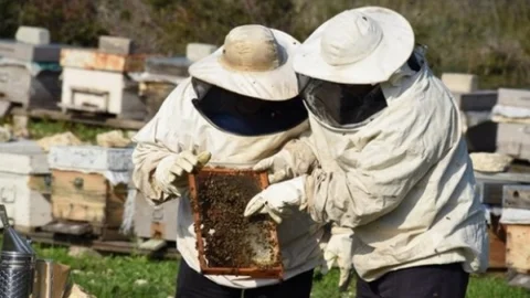 Aliağa'da Bal Üreticileri Belirlendi