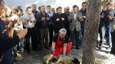 Aydın'da Emniyet Kurban Kesti