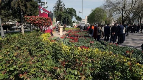 Geleneksel Lale Dağıtım Töreni Sakarya'da Gerçekleşti