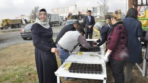 Iğdır Belediyesi'nden Çiçek Üretimi Başladı