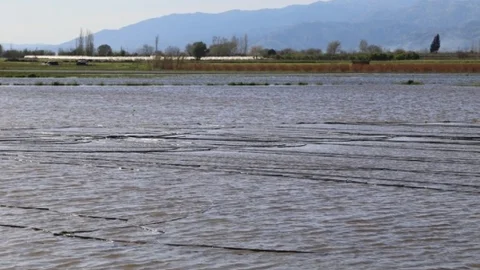 Efeler'de Çiftçilere Destek Ziyareti
