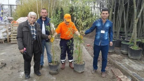 Nilüfer'de Ücretsiz Fidan Dağıtımı
