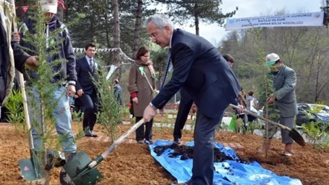 Zonguldak'ta Okul Ağaçlandırma Etkinliği