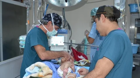 Harran Üniversitesi'nde Perfüzyon Programı Başlatıldı