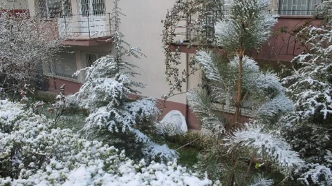 Başkent'te Apartman Bahçesinde Ölüm Vakası