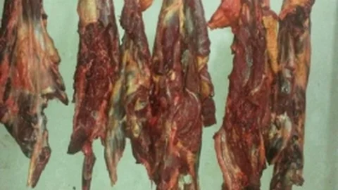 Bursa'da At Eti Skandalı