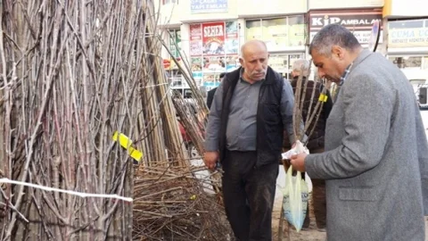 Van'da Fidan Satışları Başladı