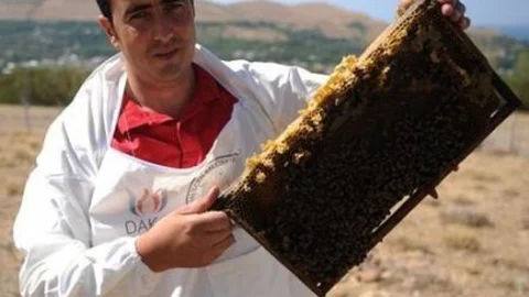 Van'da Arıcılara Uyarı