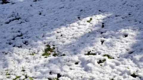 Eskişehir'de Nisan Karı Yağdı