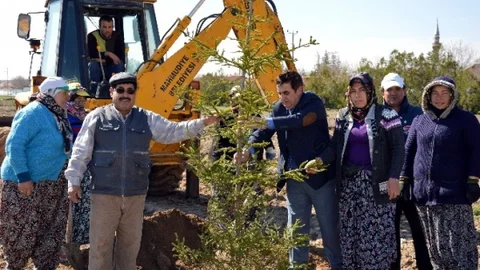 Mesudiye Mahallesi Yeşil Alanlarla Büyüyor