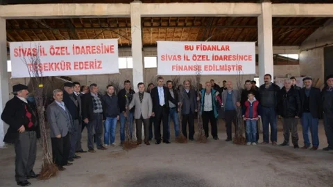 Suşehri'nde Fidan Dağıtımı Yapıldı