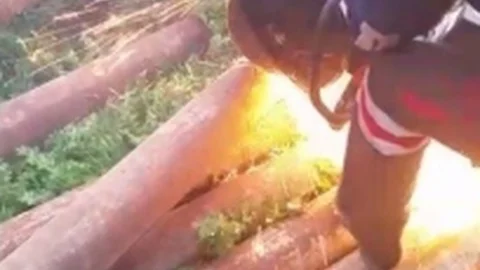 Batman'da Tavşan Kurtarma Operasyonu